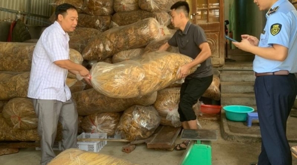 Lực lượng QLTT Cao Bằng thu giữ 800 kg nguyên liệu thuốc lá không rõ nguồn gốc xuất xứ