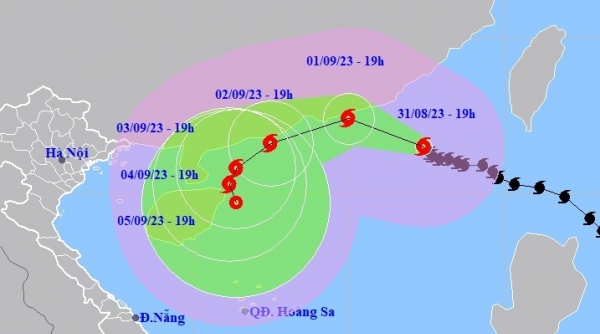 Siêu bão Sao La di chuyển nhanh, tàu biển trọng tải lớn có nguy cơ bị đánh đắm