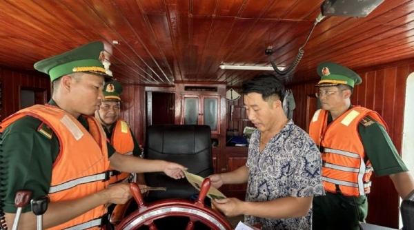 Quảng Ninh: Đồn Biên phòng Đảo Trần phát hiện, bắt giữ 6 phương tiện tàu cá vi phạm