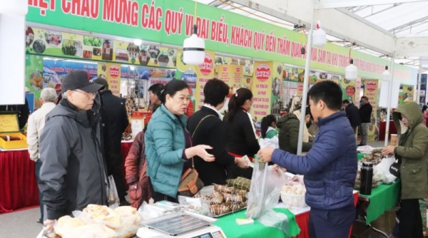 Quảng Ninh: Thúc đẩy xúc tiến thương mại sản phẩm OCOP