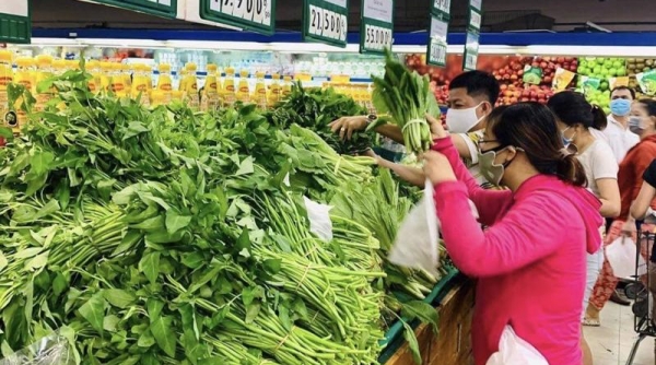 TP. Hồ Chí Minh: Chính sách hỗ trợ liên kết sản xuất và tiêu thụ sản phẩm nông nghiệp