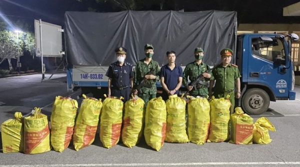 Bộ đội Biên phòng Quảng Ninh: Bắt vụ vận chuyển số lượng lớn pháo lậu