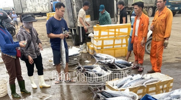 Huyện Hải Hậu – Nam Định: Ngư dân nỗ lực làm giàu từ biển