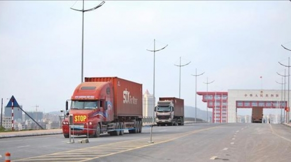 Quảng Ninh: Xuất khẩu tôm hùm tại cửa khẩu Móng Cái trở lại bình thường