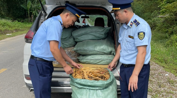 Xử phạt đối tượng vận chuyển 233 kg nguyên liệu thuốc lá không rõ nguồn gốc