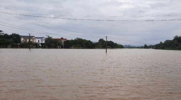 Thanh Hóa chỉ đạo khẩn ứng phó với mưa lớn, ngập lụt