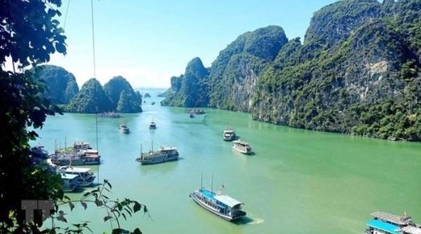 Quảng Ninh: Từ 15h ngày 19/10 tạm dừng cấp phép phương tiện thủy ra khơi