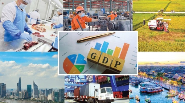 Việt Nam khá thành công trong việc vượt qua thách thức suy thoái và ổn định nền kinh tế vĩ mô