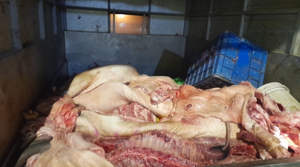 Phát hiện hơn 1,3 tấn thịt lợn không đảm bảo an toàn thực phẩm