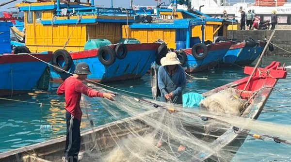 Hôm nay, Ủy ban châu Âu đến Việt Nam thanh tra việc gỡ ‘thẻ vàng’ thủy sản