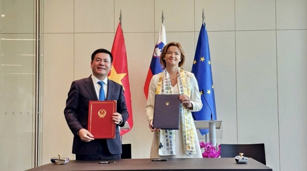  Những định hướng mới trong hợp tác kinh tế giữa Việt Nam - Slovenia