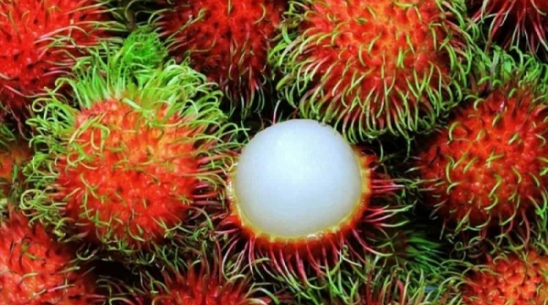 New Zealand nới lỏng kiểm dịch thực vật đối với một số trái cây Việt Nam