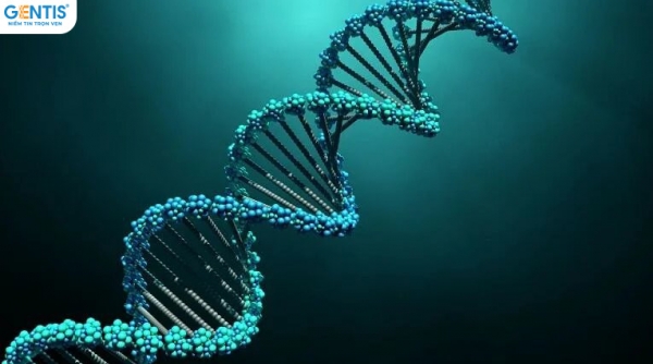 Lịch sử giám định ADN và xu hướng phát triển