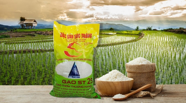 Giá gạo thế giới điều chỉnh tăng từ 3-15 USD/tấn