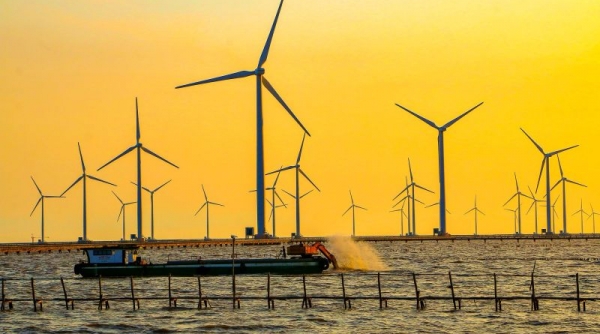 Điện gió ngoài khơi Việt Nam đang hấp dẫn nhà đầu tư nước ngoài