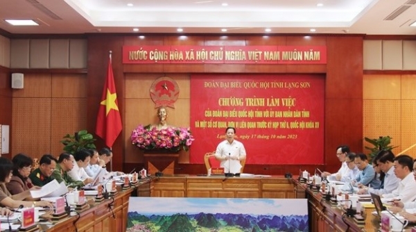 Đoàn đại biểu Quốc hội tỉnh Lạng Sơn làm việc với UBND tỉnh Lạng Sơn