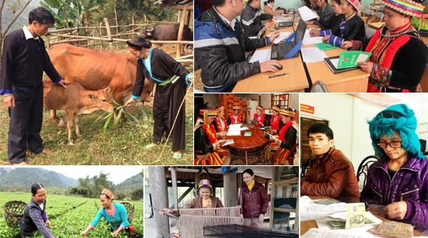 Bà Rịa – Vũng Tàu triển khai dự án hỗ trợ phát triển sản xuất nông nghiệp cho đồng bào dân tộc thiểu số