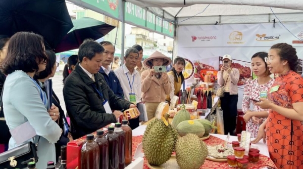 Hội chợ thương mại và giới thiệu sản phẩm nông nghiệp đặc trưng tỉnh Gia Lai sẽ diễn ra trong 5 ngày