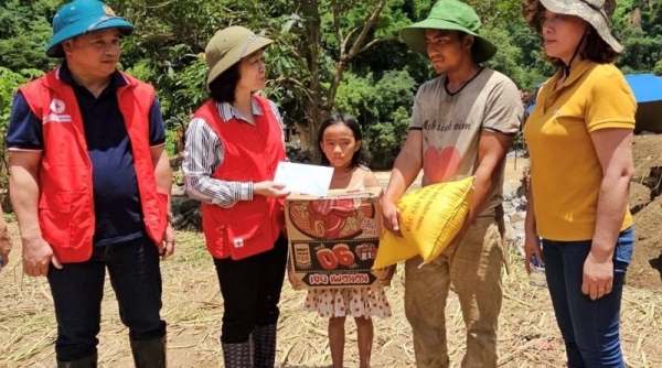 Hội nghị Chữ thập đỏ và Trăng lưỡi liềm quốc tế tổ chức tại Việt Nam