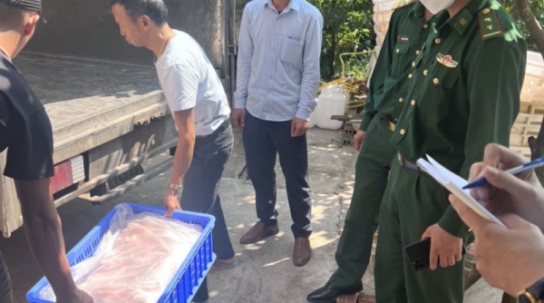 Thái Bình: Phát hiện phương tiện vận chuyển hơn 3 tấn thịt lợn bốc mùi ôi thiu