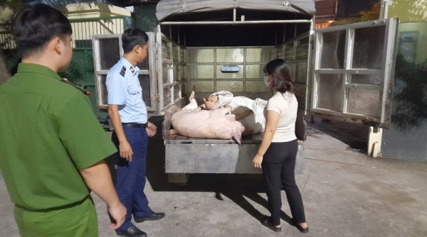 Phát hiện gần 500kg thịt lợn không bảo đảm an toàn thực phẩm
