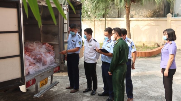 Tiêu hủy hơn 3 tấn thịt lợn đã bốc mùi ôi thiu tại Thái Bình