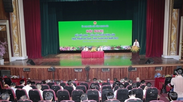 Kết nối cung - cầu sản phẩm nông sản, thực phẩm an toàn tỉnh Thanh Hóa năm 2023
