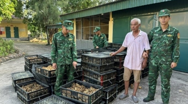 10 tháng Quảng Ninh xử lý gần 2.400 vụ buôn lậu, gian lận thương mại và hàng giả