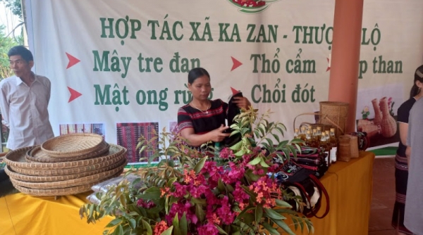 Thừa Thiên Huế- Công nhận 64 sản phẩm, bộ sản phẩm OCOP năm 2023