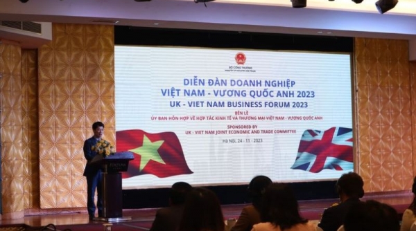 Diễn đàn doanh nghiệp Việt Nam - Vương quốc Anh 2023