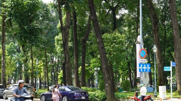 TP. Hồ Chí Minh cấm các loại xe lưu thông vào đường Phạm Ngọc Thạch