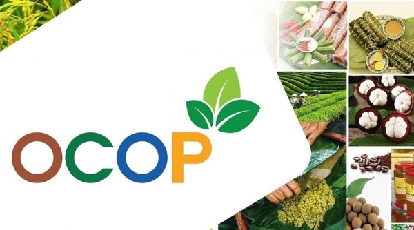 Tăng cường kết nối tiêu thụ sản phẩm OCOP