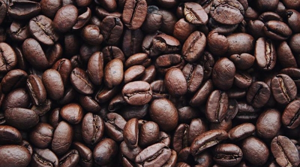 Giá cà phê hôm nay 8/12: Cà phê trong nước giảm từ 200 - 300 đồng/kg