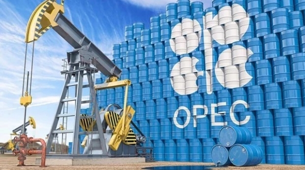 Năm 2024, OPEC+ cắt giảm thêm sản lượng nếu thị trường dầu mỏ dư cung?