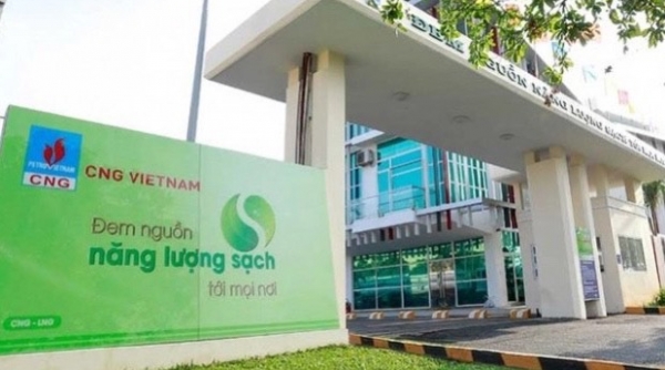 Vi phạm trong lĩnh vực thuế, Công ty cổ phần CNG Việt Nam bị phạt gần 270 triệu đồng