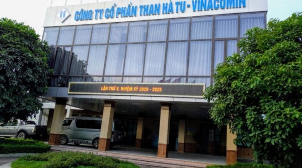 Công ty cổ phần Than Hà Tu - Vinacomin bị phạt và truy thu thuế hơn 1,9 tỷ đồng