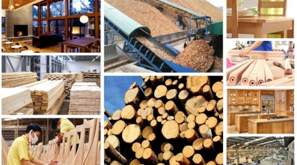 Ngành xuất khẩu gỗ và lâm sản năm 2023 dự kiến giảm 15,5%