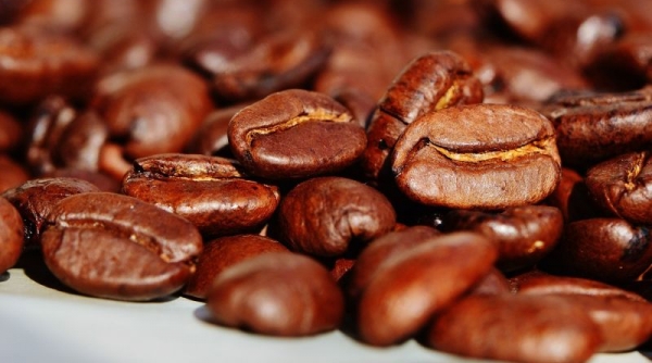 Giá cà phê hôm nay 25/12: Giữ mức ổn định trong ngày đầu tuần