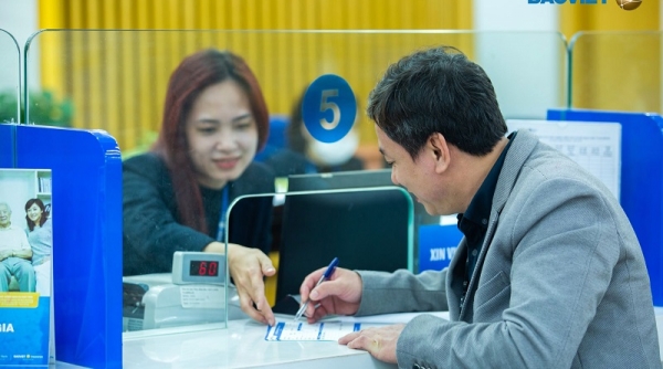Tập đoàn Bảo Việt (BVH) chính thức chi trả hơn 708 tỷ đồng cổ tức bằng tiền từ 28/12