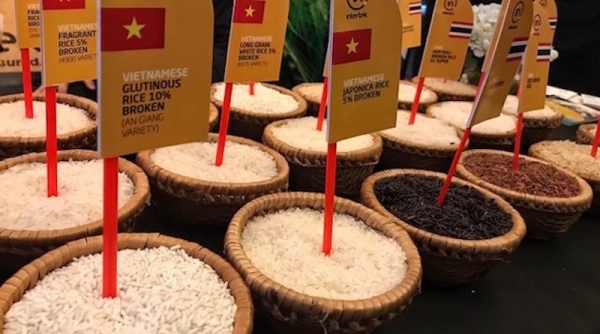 Giá trị xuất khẩu gạo của Việt Nam đạt kỷ lục với 4,78 tỷ USD, tăng 38,4%