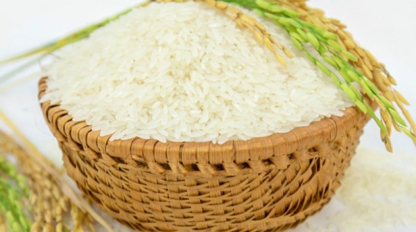 Giá gạo tăng cao gây áp lực lạm phát ở Châu Á