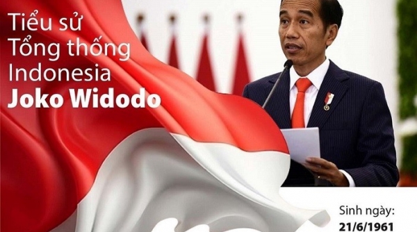 Hôm nay, Tổng thống Indonesia, Joko Widodo thăm cấp Nhà nước tới Việt Nam