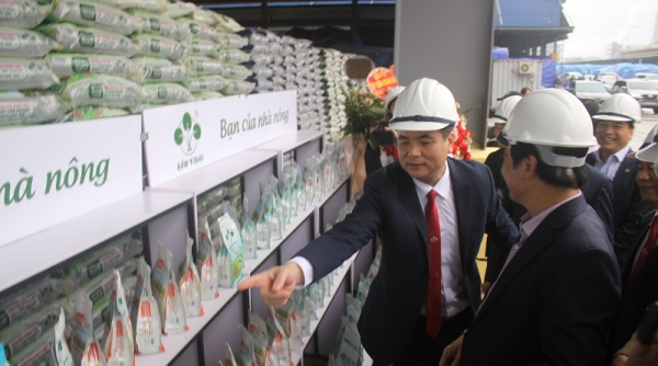 Supe Lâm Thao ra mắt sản phẩm chuyên dùng cho cây cà phê, cây lâm nghiệp và phân bón nông nghiệp đô thị