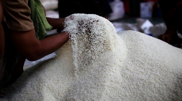 Vì sao, Việt Nam chi hơn 860 triệu USD để nhập khẩu gạo?