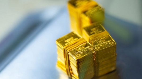 Giá vàng hôm nay 14/1: Vàng trong nước tăng cực mạnh, giá vàng SJC vọt lên 77 triệu đồng/lượng
