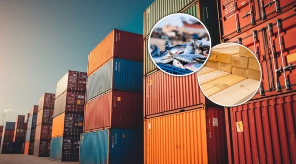 Ngành xuất khẩu 2023: Hai mặt hàng gặp khó hàng đầu là các sản phẩm gỗ và thủy sản?