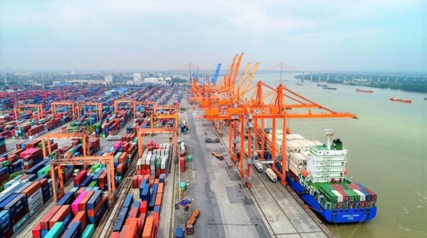SSI dự báo ngành cảng biển và logistics sẽ phục hồi sản lượng trong năm 2024