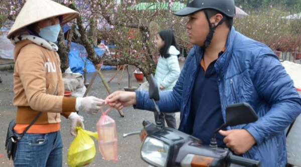 Chợ hoa Tết lớn nhất Ninh Bình: Người lao động tự do vất vả mưu sinh
