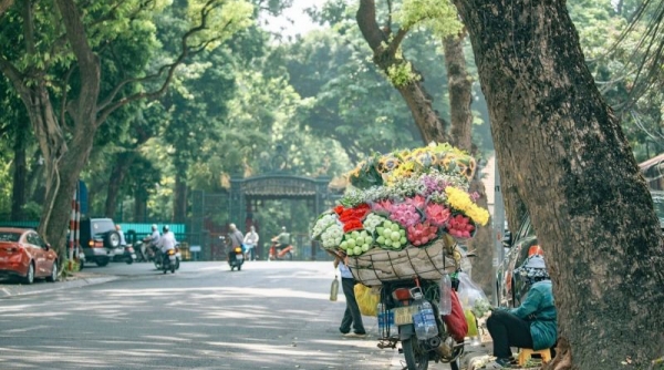 Thời tiết mùng 4 Tết (13/02): Bắc Bộ và Bắc Trung Bộ trời nắng