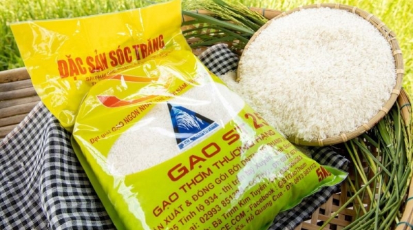 Gạo Việt vào Châu Âu bằng thương hiệu